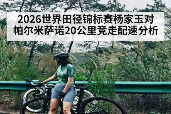 2026世界田径锦标赛杨家玉对帕尔米萨诺20公里竞走配速分析